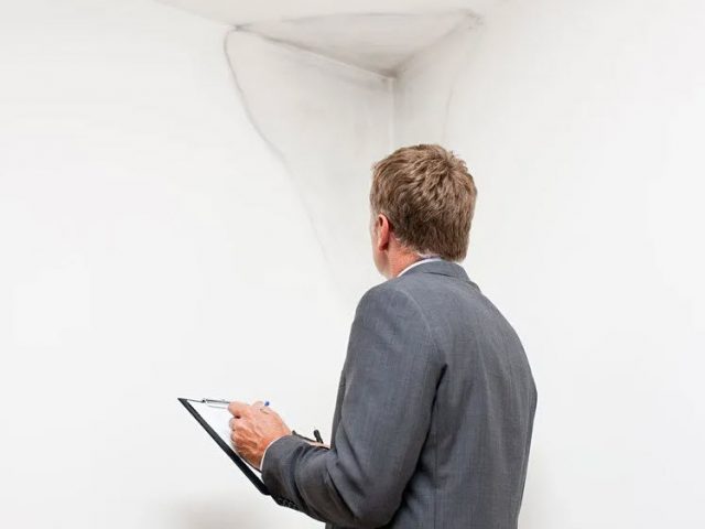 Damp Proofing Surveys in Great Yarmouth