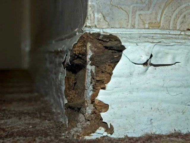 Dry & Wet Rot Treatment